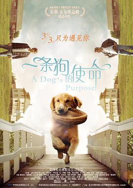 芊芊代表的是什么颜色